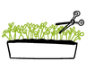 2. Natural Growth