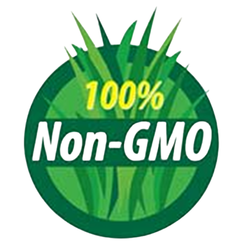 Non-GMO Seeds